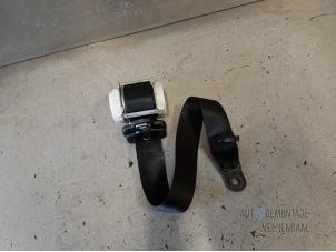 Used Front seatbelt, right Ford Focus 2 1.6 16V Price € 13,65 Margin scheme offered by Autodemontage Veenendaal BV