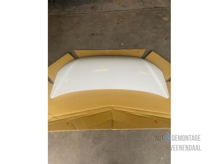 Nowe Maska Seat Mii Cena € 502,15 Z VAT oferowane przez Autodeleninkleur