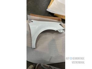 New Front wing, left Volkswagen Polo V (6R) Price € 157,30 Inclusive VAT offered by Autodemontage Veenendaal BV