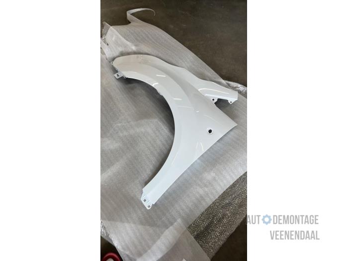 Front wing, left from a Ford Transit Connect (PJ2)  2015
