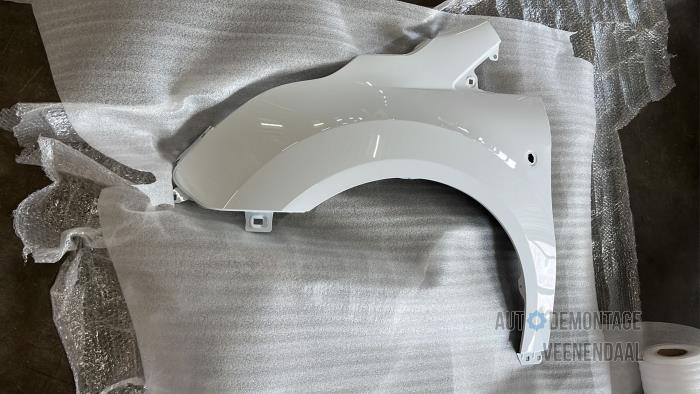 Front wing, left from a Ford Transit Connect (PJ2)  2015
