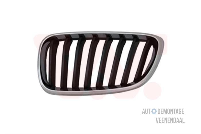 Nowe Grill BMW 2 serie (F22) Cena € 53,24 Z VAT oferowane przez Autodeleninkleur