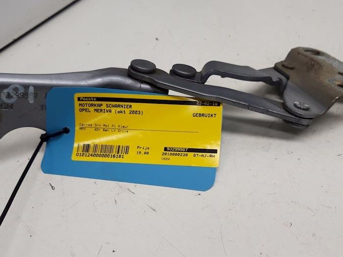 Hood hinges