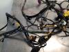 Wiring harness from a Ford Ka II 1.2 2011