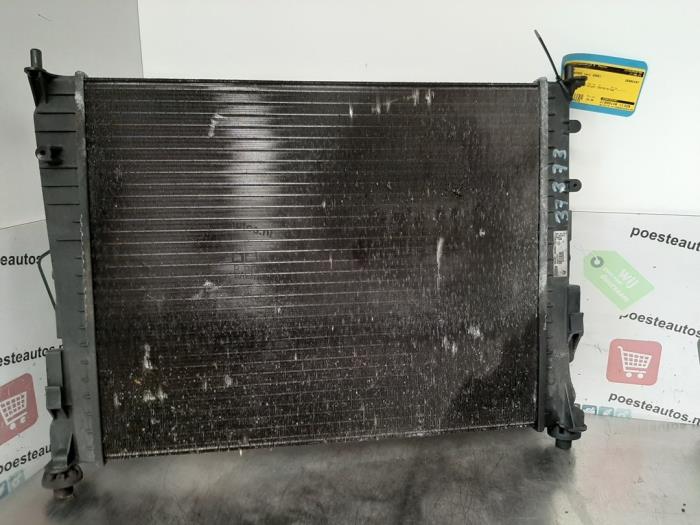 Used Radiator Renault Twingo II (CN) 1.2 Price € 20,00 Margin scheme offered by Autodemontagebedrijf R. Poeste B.V.