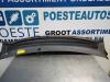 Ford Focus 2 1.6 16V Paravent