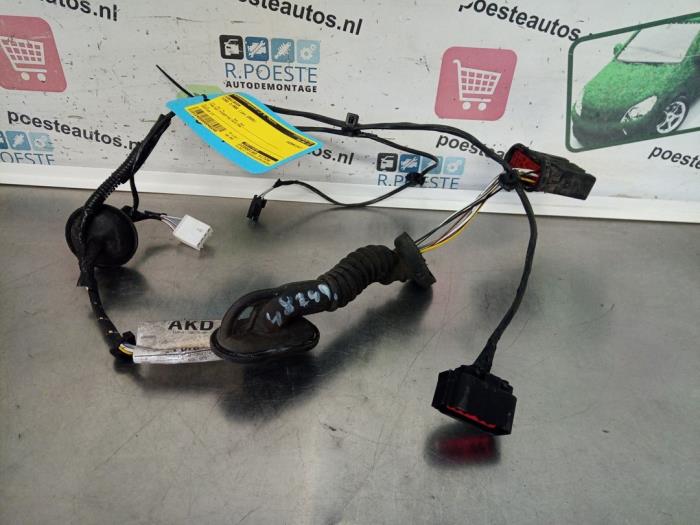Rear door wiring loom
