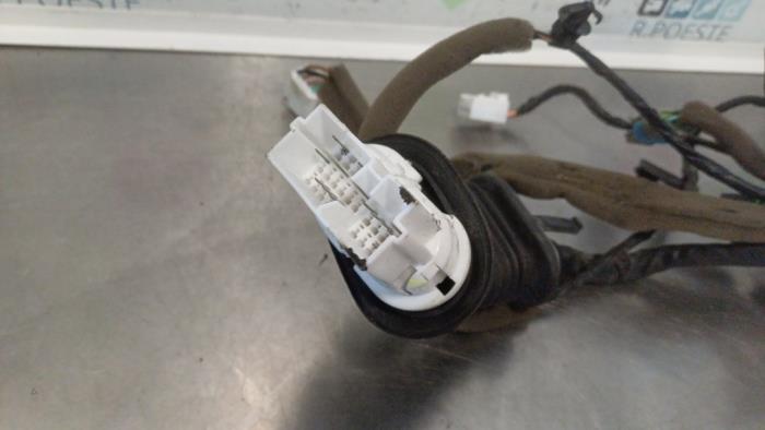 Wiring harness from a Chevrolet Aveo (250) 1.2 16V 2009