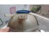 Expansion vessel from a Volkswagen Polo IV (9N1/2/3) 1.4 16V 2007