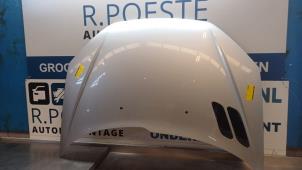 Używane Maska Peugeot 206 SW (2E/K) 1.4 Cena € 50,00 Procedura marży oferowane przez Autodemontagebedrijf R. Poeste B.V.
