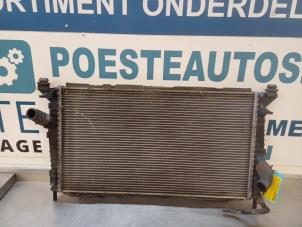 Gebrauchte Kühler Fiat Grande Punto (199) 1.2 Preis € 30,00 Margenregelung angeboten von Autodemontagebedrijf R. Poeste B.V.