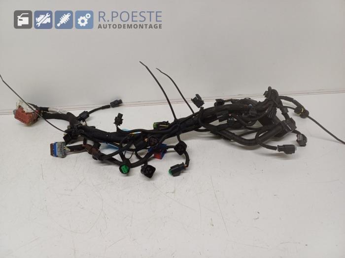 Gebrauchte Kabelbaum Citroen C4 Picasso (UD/UE/UF) 1.6 16V VTi 120 Preis € 75,00 Margenregelung angeboten von Autodemontagebedrijf R. Poeste B.V.