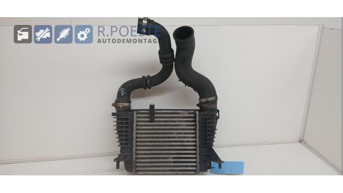 Usados Intercooler Renault Clio III (BR/CR) 1.2 16V TCe 100 Precio € 20,00 Norma de margen ofrecido por Autodemontagebedrijf R. Poeste B.V.