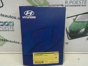 Used Instruction Booklet Hyundai Santa Fe I 2.7 V6 24V 4x4 Autom. Price € 20,00 Margin scheme offered by Autodemontagebedrijf R. Poeste B.V.