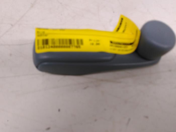 Usados Manivela de ventanilla Citroen C3 (FC/FL/FT) 1.4 HDi Precio € 10,00 Norma de margen ofrecido por Autodemontagebedrijf R. Poeste B.V.