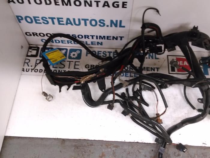 Used Renault Clio Ii Bb Cb Sb 1 6 16v Wiring Harness 8200315701 Autodemontagebedrijf R Poeste Proxyparts Com