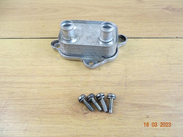 Heat exchanger from a MINI Mini Cooper S (R53) 1.6 16V 2004