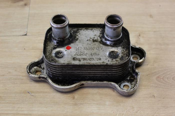 Gebrauchte Wärmetauscher BMW Mini (R50/53) 1.6 16V Cooper S Preis € 29,75 Mit Mehrwertsteuer angeboten von Miniparts24
