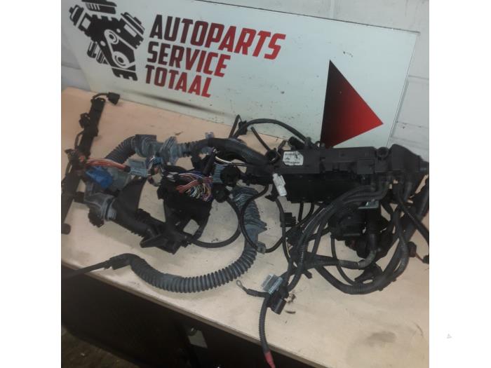 Wiring harness from a BMW X5 (E70) 30d xDrive 3.0 24V 2010