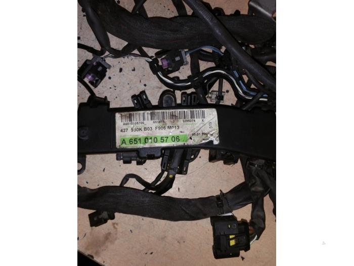 Wiring harness from a Mercedes-Benz Sprinter 3,5t (906.63) 316 CDI 16V 2016