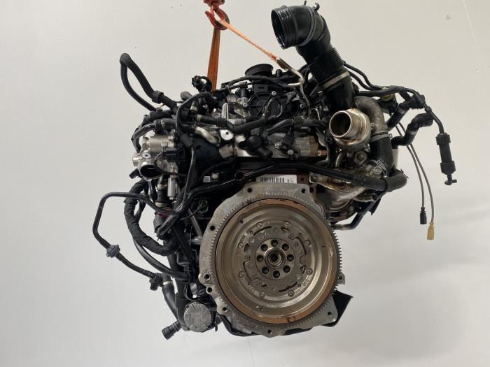 Motor from a Volkswagen Tiguan (AD1) 2.0 TDI 16V 4Motion 2019