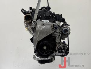 Engine from a Volkswagen Golf VIII (CD1) 2.0 GTI 16V 2023