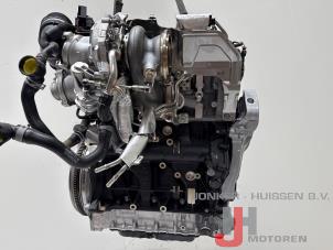 Engine from a Volkswagen Golf VIII (CD1) 2.0 GTI 16V 2023