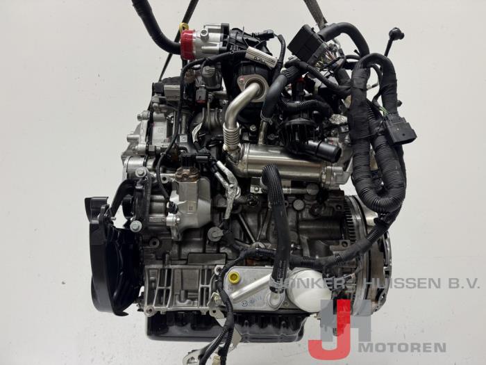 New Engine Ford Transit 2.0 TDCi 16V Eco Blue 160 Price € 6.352,50 Inclusive VAT offered by Jonker - Huissen B.V.