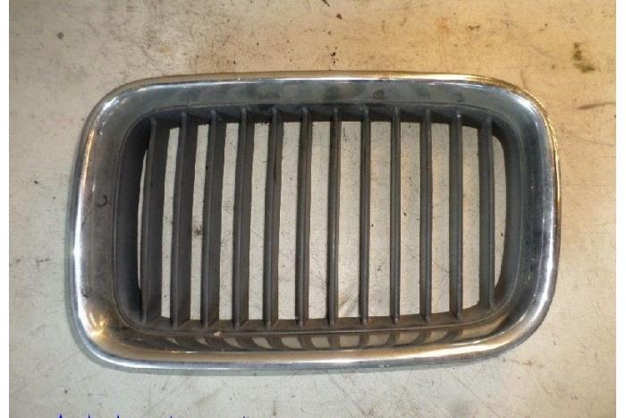 Begagnade Grill BMW 3 serie (E36/4) 318i Pris € 15,00 Marginaltabell erbjuds av Hans Auto Onderdelen