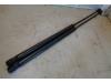 Ford Focus 2 Wagon 1.6 TDCi 16V 110 Set of gas struts for boot