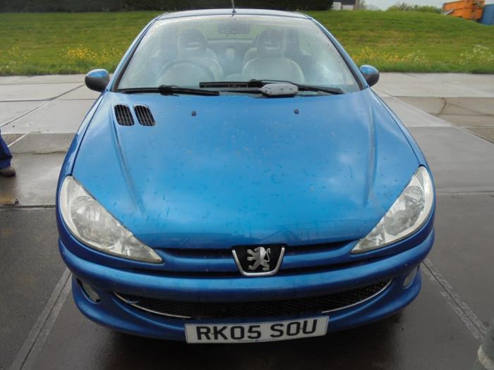 Frontscreen from a Peugeot 206 CC (2D) 1.6 16V 2005