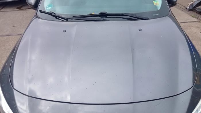 Używane Maska Fiat Tipo (356S) 1.3 JTD Multijet II 16V Cena € 250,00 Procedura marży oferowane przez Hans Auto Onderdelen