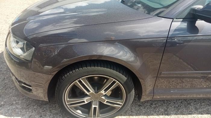 Używane Ekran lewy przód Audi A3 (8P1) 1.2 TFSI Cena € 100,00 Procedura marży oferowane przez Hans Auto Onderdelen
