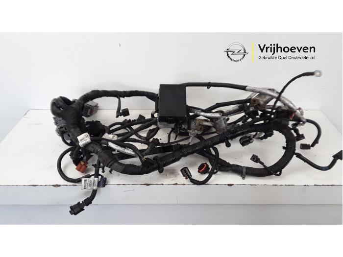 Wiring harness Opel Antara 2.2 CDTI 16V 4x2 95076240