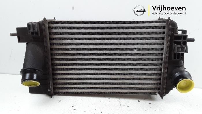 Usados Intercooler Opel Meriva (B) 1.3 CDTI 16V Precio € 50,00 Norma de margen ofrecido por Autodemontage Vrijhoeven B.V.
