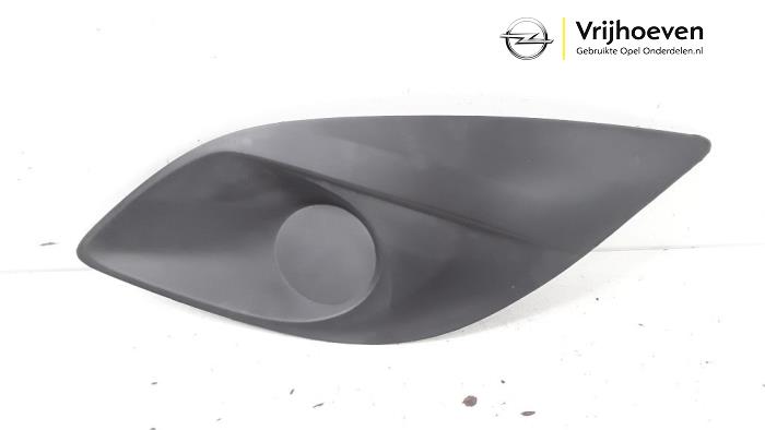 Front bumper lower grill