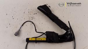 Usagé Tendeur de ceinture droit Opel Omega B (25/26/27) 2.2 16V Prix € 20,00 Règlement à la marge proposé par Autodemontage Vrijhoeven B.V.
