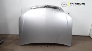 Używane Maska Opel Vectra C Caravan 2.2 DIG 16V Cena € 50,00 Procedura marży oferowane przez Autodemontage Vrijhoeven B.V.