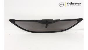 Usagé Brise-vent Opel Tigra Twin Top 1.4 16V Prix € 80,00 Règlement à la marge proposé par Autodemontage Vrijhoeven B.V.