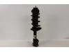 Front shock absorber rod, left from a Opel Corsa D, 2006 / 2014 1.2 16V, Hatchback, Petrol, 1.229cc, 59kW (80pk), FWD, Z12XEP; EURO4, 2006-07 / 2014-08 2008