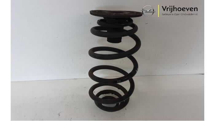 Coil spring rubber mount