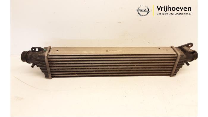 Usados Intercooler Opel Corsa E 1.6 OPC Turbo 16V Precio € 75,00 Norma de margen ofrecido por Autodemontage Vrijhoeven B.V.