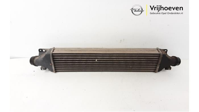 Used Intercooler Opel Corsa D 1.6i OPC 16V Turbo Price € 75,00 Margin scheme offered by Autodemontage Vrijhoeven B.V.