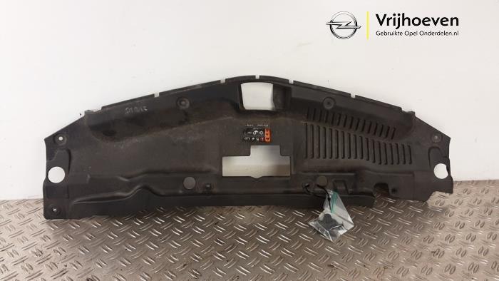 Radiator trim