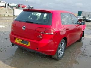 Used Tailgate Volkswagen Golf VII (AUA) 1.6 TDI 16V Price on request offered by DeVo Autoparts
