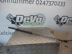 Used Bonnet gas strut, left Opel Insignia 2.0 CDTI 16V 160 Ecotec Price on request offered by DeVo Autoparts