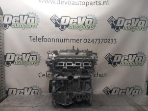 Overhauled Motor Renault Megane Price on request offered by DeVo Autoparts