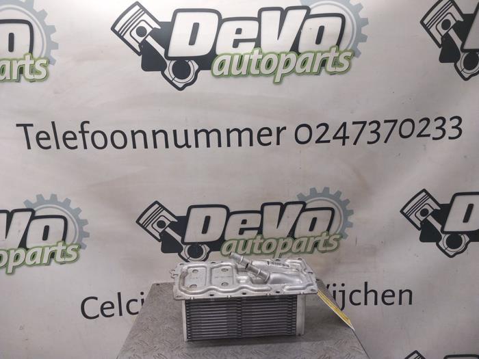 Usados Intercooler Ford Kuga II 1.5 EcoBoost 16V 120 Precio de solicitud ofrecido por DeVo Autoparts