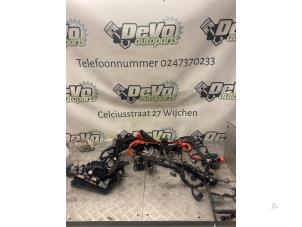 Used Wiring harness Toyota C-HR (X1,X5) 1.8 16V Hybrid Price on request offered by DeVo Autoparts