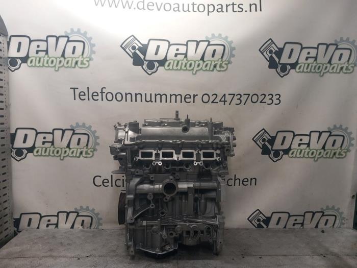 Engine Renault Kadjar (Overhaul)